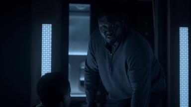 Zoo 3x8
