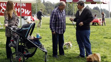 Modern Family 5x21