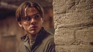 Colony 2x7
