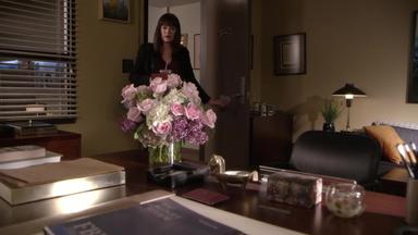 Mentes criminales 15x7