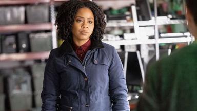 Ley y orden: Crimen organizado 3x15