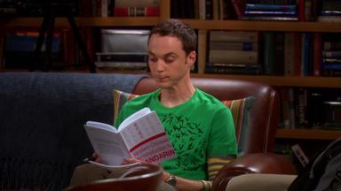 Big Bang 1x17