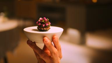 Al filo: En busca de Estrellas Michelin 1x4