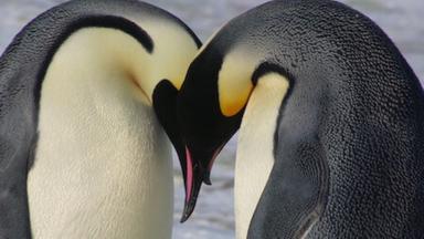 Pequeños salvajes 1x7