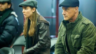 Ley y orden: Crimen organizado 2x13