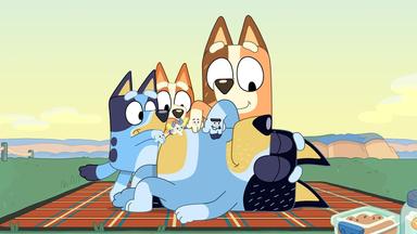 Bluey 1x21
