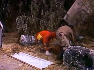 El Chapulín Colorado 4x2
