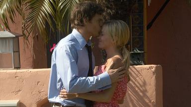 Dexter 4x1