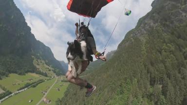 La vida secreta de nuestras mascotas 1x2