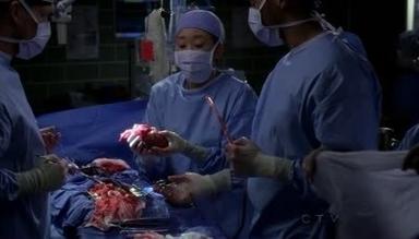 Anatomía de Grey 7x2
