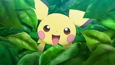 Pokémon 23x1