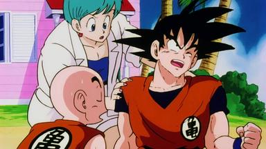 Dragon Ball Z 1x3