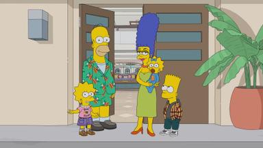 Los Simpson 34x12