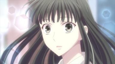 Fruits Basket 2x24