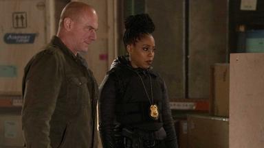 Ley y orden: Crimen organizado 2x18