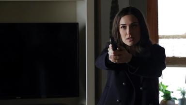 The Blacklist 8x14
