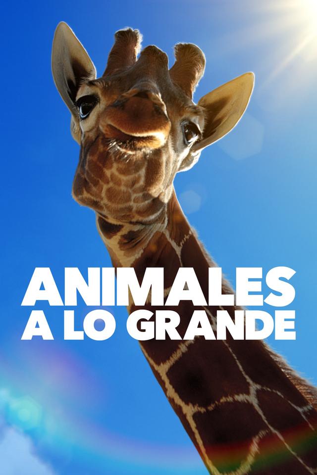 Animales a lo grande