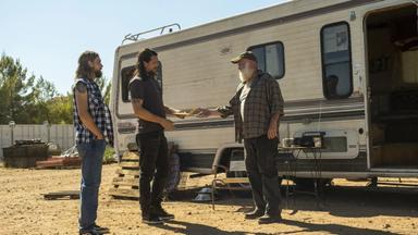 Animal Kingdom 6x12