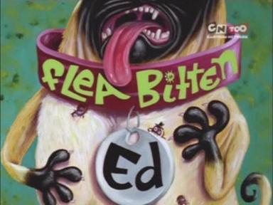 Ed, Edd y Eddy 1x20