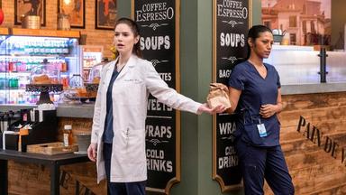 New Amsterdam 4x20