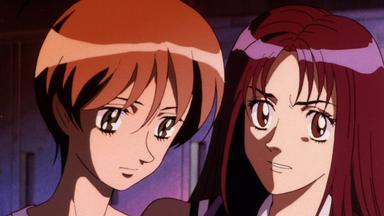La visión de Escaflowne 1x24