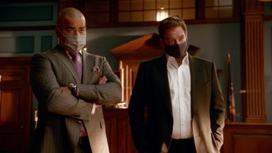 Bull 5x12