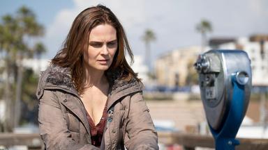 Animal Kingdom 4x9