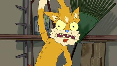 Rick y Morty 1x11