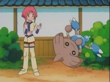 Pokémon 4x9