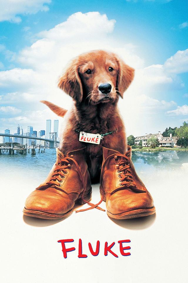 Mi amigo Fluke