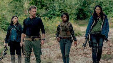Van Helsing 5x7