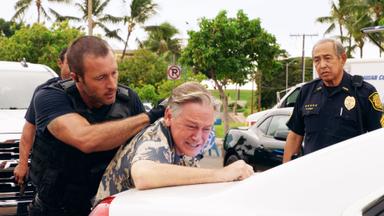 Hawái 5.0 8x13