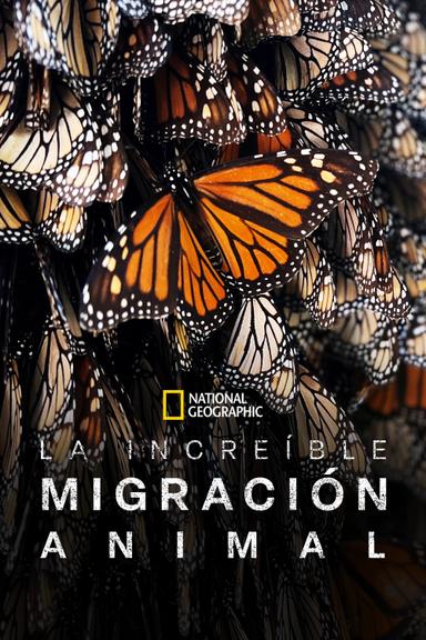 La increíble migración animal