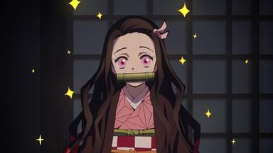Kimetsu no Yaiba: Guardianes de la Noche 1x14