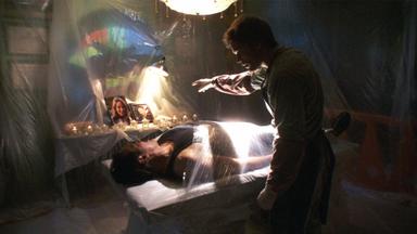 Dexter 3x11