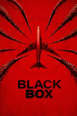 Black Box: Vuelo 298