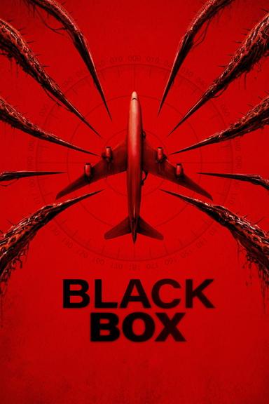 Black Box: Vuelo 298