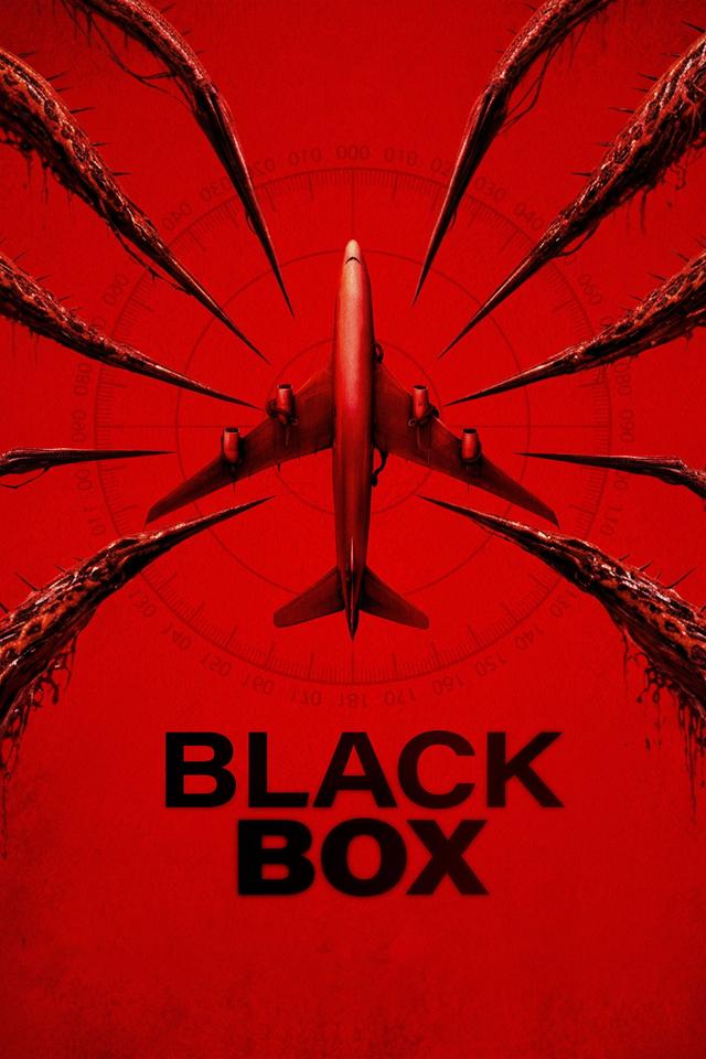 Black Box: Vuelo 298