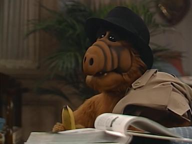 ALF 4x6