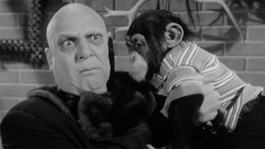 La familia Addams 1x28