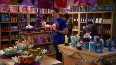Big Bang 2x11