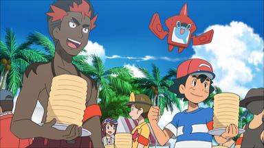 Pokémon 20x13