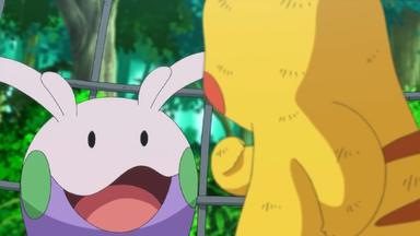 Pokémon 18x7