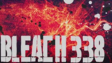 Bleach 1x338