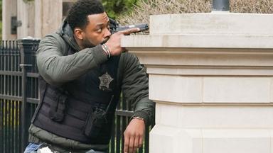 Chicago P.D. 9x19