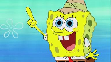 Bob Esponja 9x17