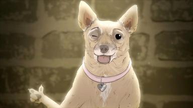 Animals. 2x10