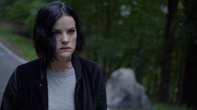 Blindspot 4x8