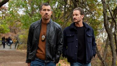 Ley y orden: Unidad de Víctimas Especiales 26x13