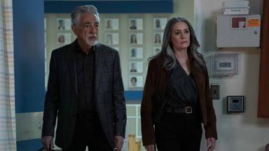 Mentes criminales 19x1